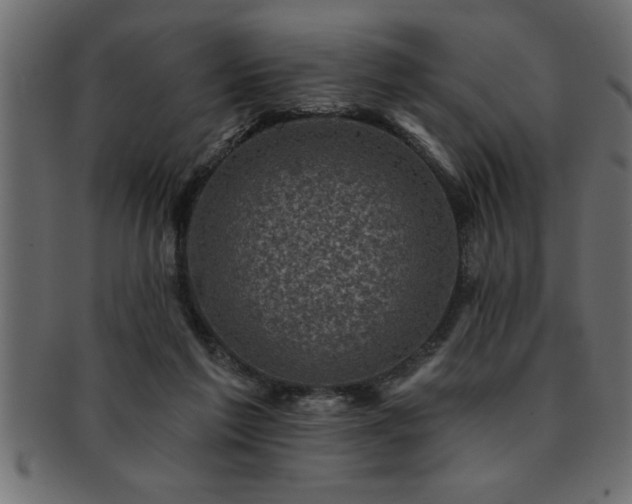 X0000093170213200709261535