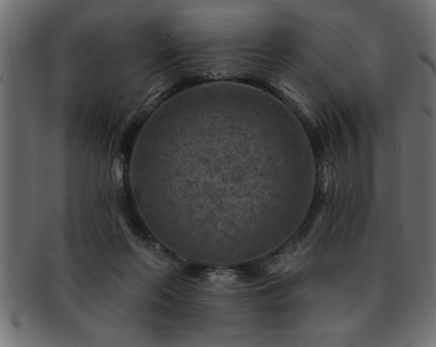 X0000093170214200709261535