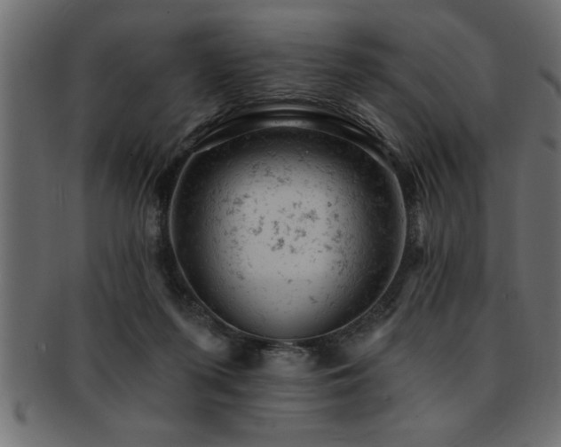 X0000093170215200709261535