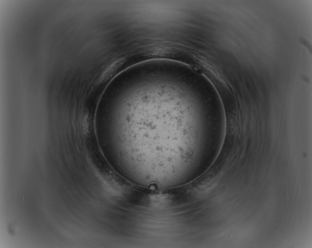 X0000093170216200709261535