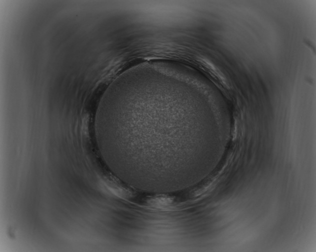 X0000093170217200709261535