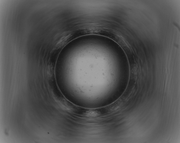 X0000093170218200709261535