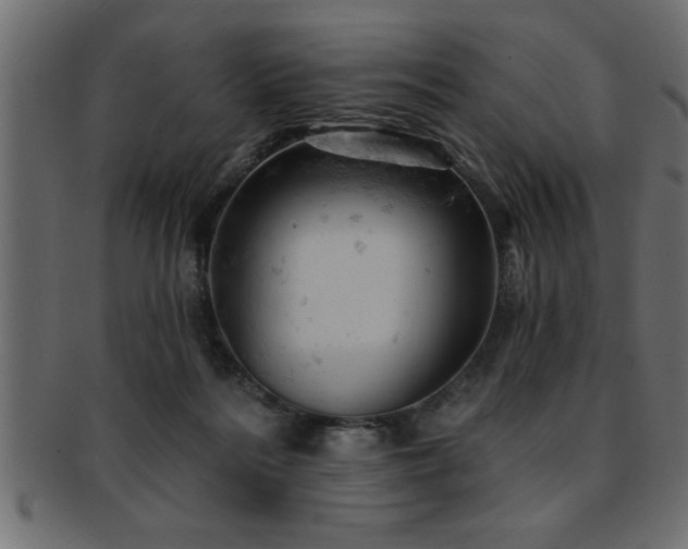 X0000093170220200709261535