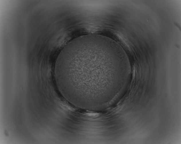 X0000093170221200709261535