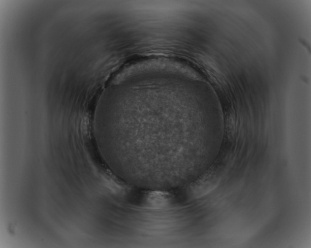 X0000093170222200709261535