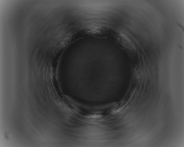 X0000093170223200709261535