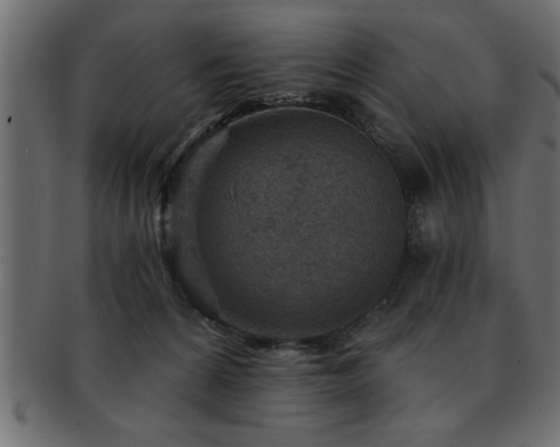 X0000093170224200709261535