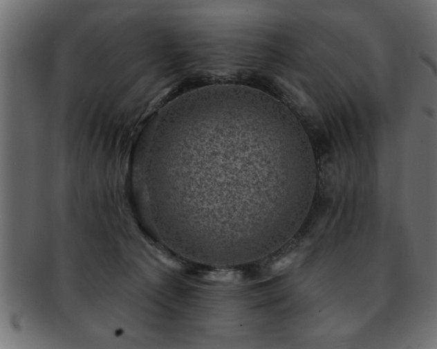 X0000093170225200709261535