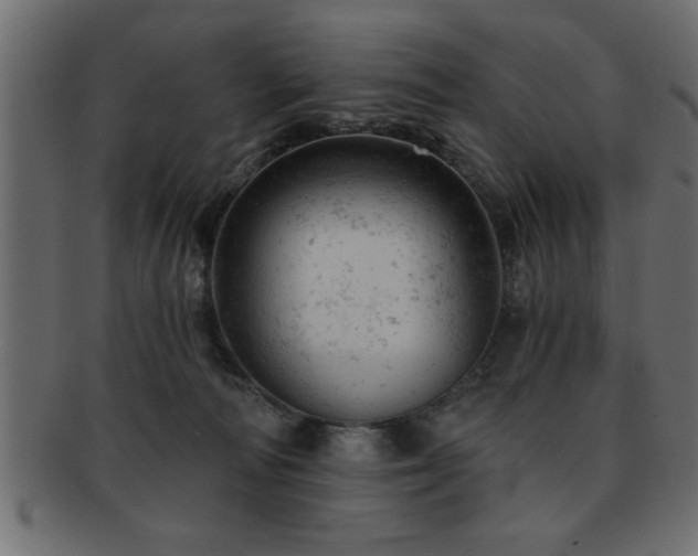 X0000093170226200709261535