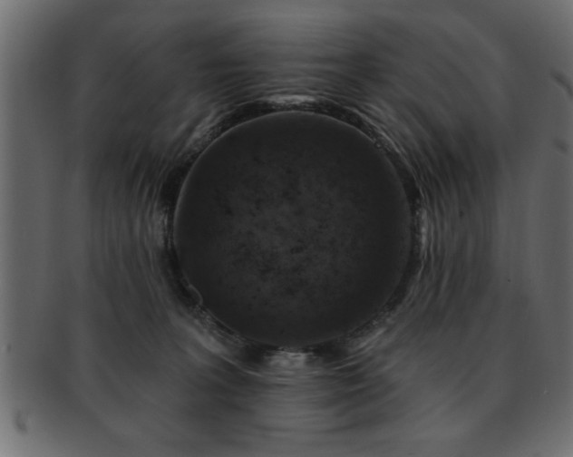 X0000093170227200709261535