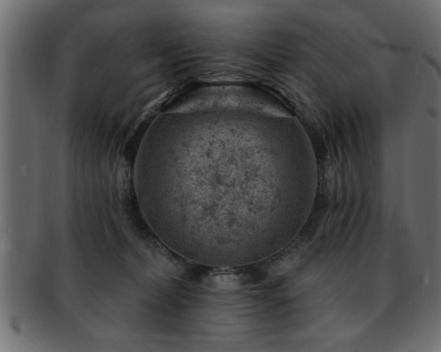 X0000093170228200709261535