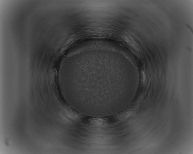 X0000093170229200709261535