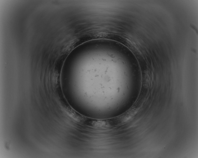 X0000093170230200709261535