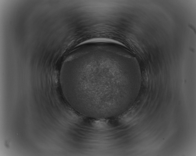 X0000093170232200709261535