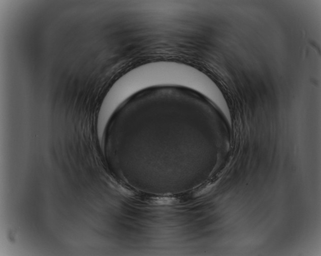 X0000093170233200709261535
