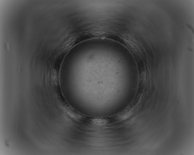 X0000093170234200709261535