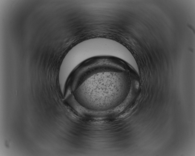 X0000093170235200709261535