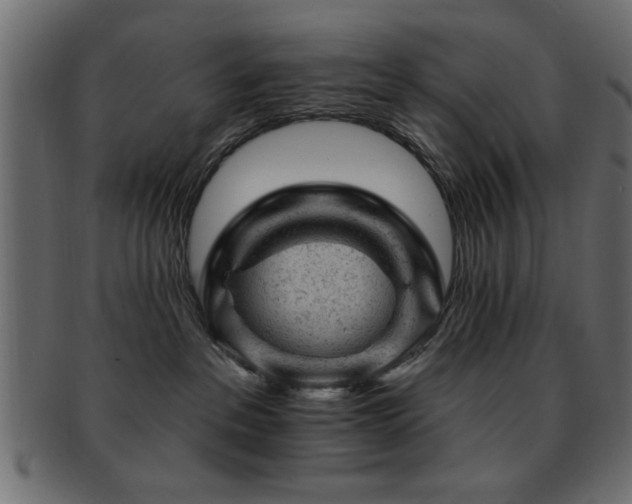 X0000093170237200709261535