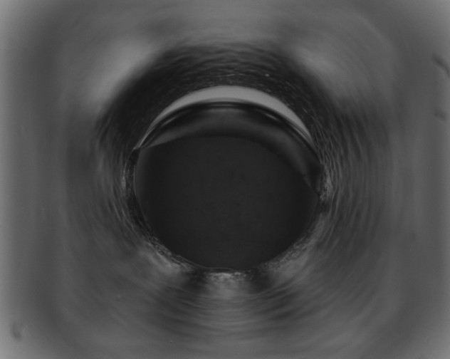 X0000093170239200709261535