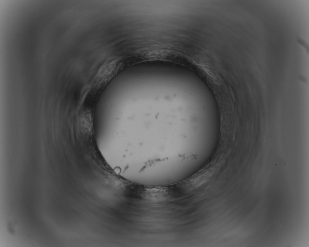 X0000093170240200709261534