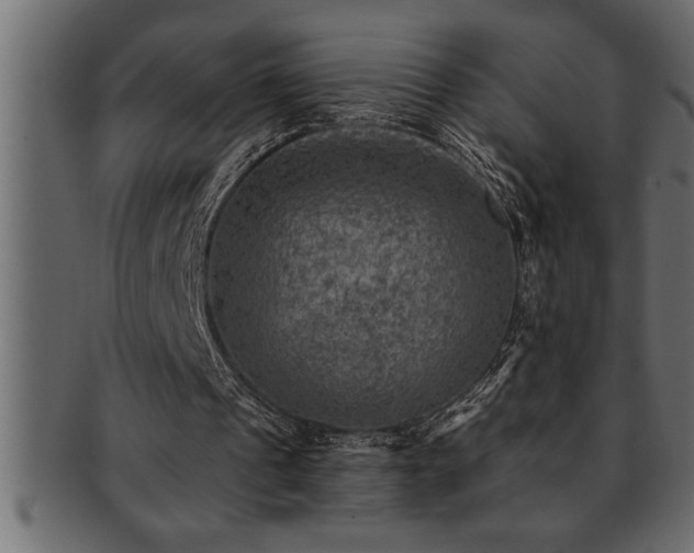 X0000093170241200709261534