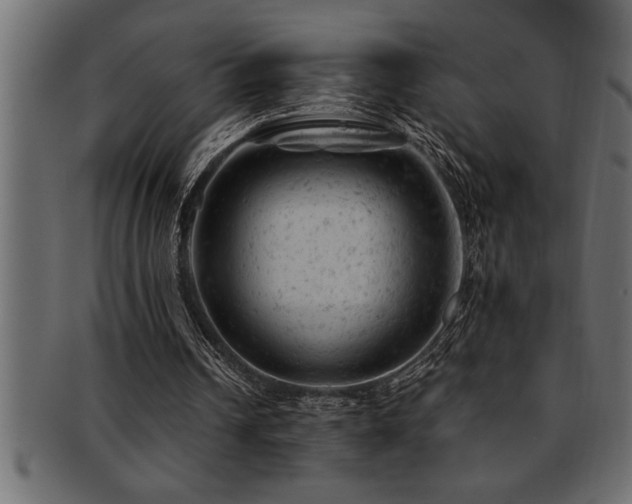 X0000093170242200709261534