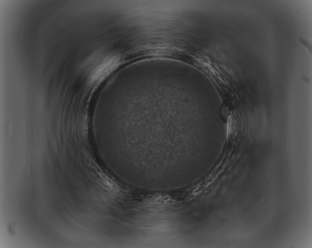 X0000093170243200709261534