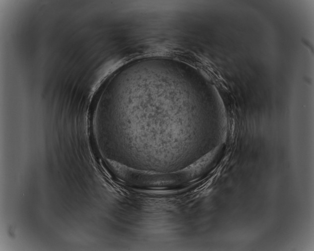 X0000093170244200709261534