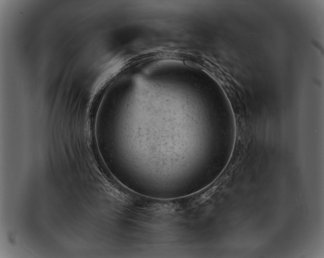 X0000093170245200709261534
