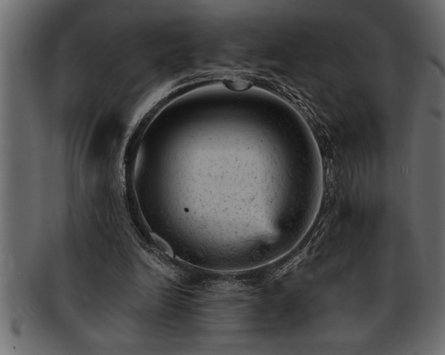 X0000093170246200709261534