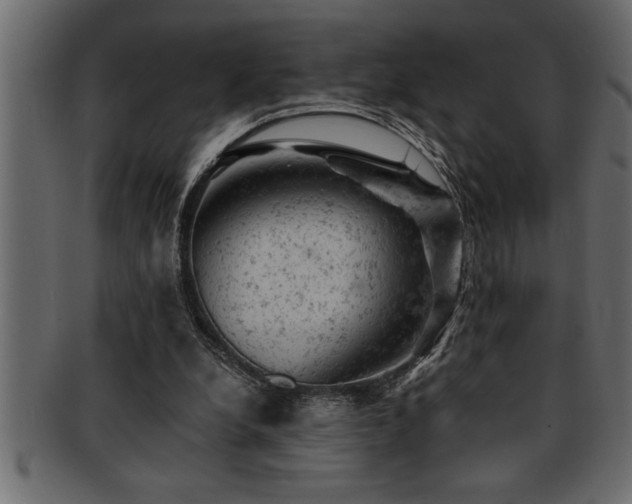 X0000093170248200709261534