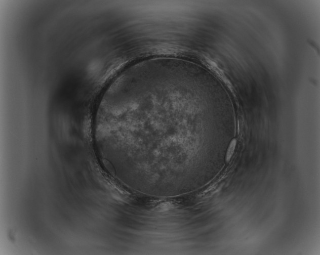 X0000093170249200709261534