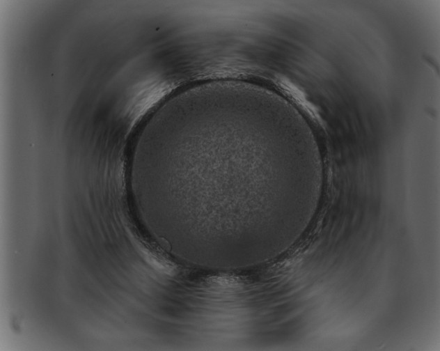 X0000093170250200709261534