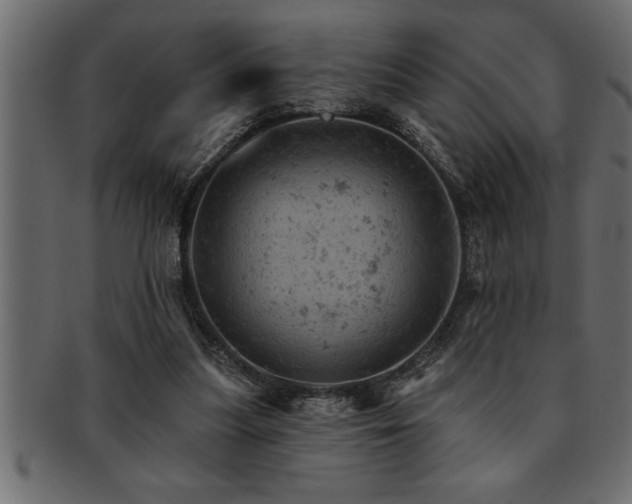 X0000093170251200709261534