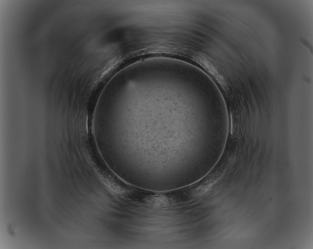 X0000093170253200709261534