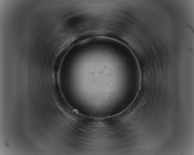 X0000093170254200709261534