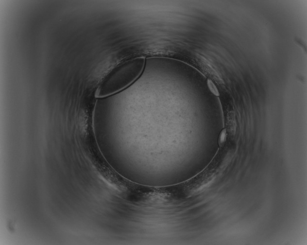 X0000093170255200709261534