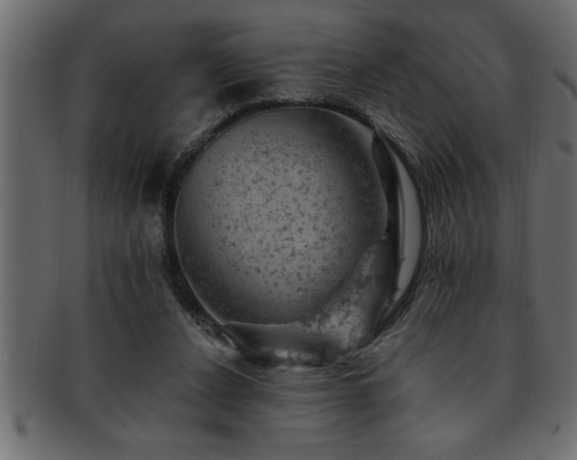 X0000093170256200709261534