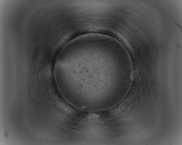X0000093170257200709261534
