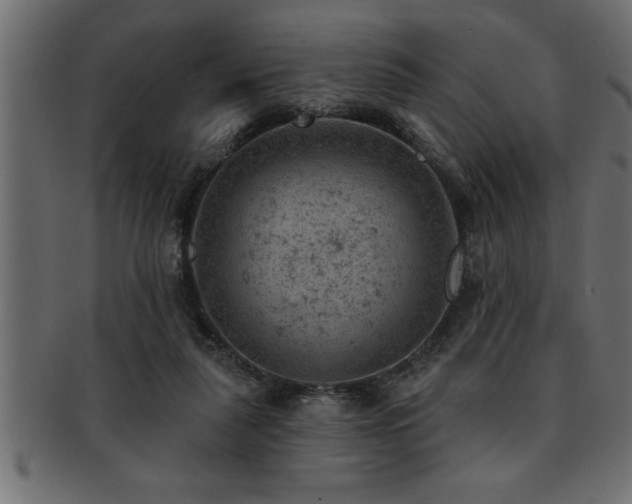 X0000093170259200709261534