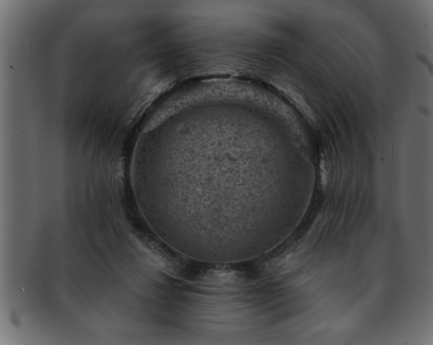 X0000093170260200709261534