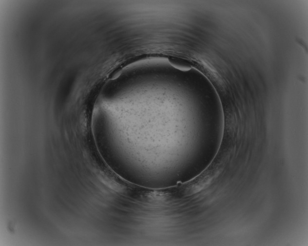 X0000093170261200709261534