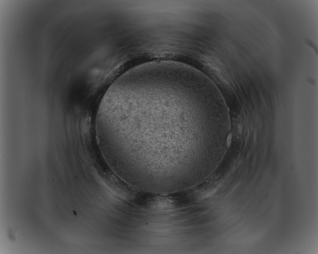 X0000093170263200709261534