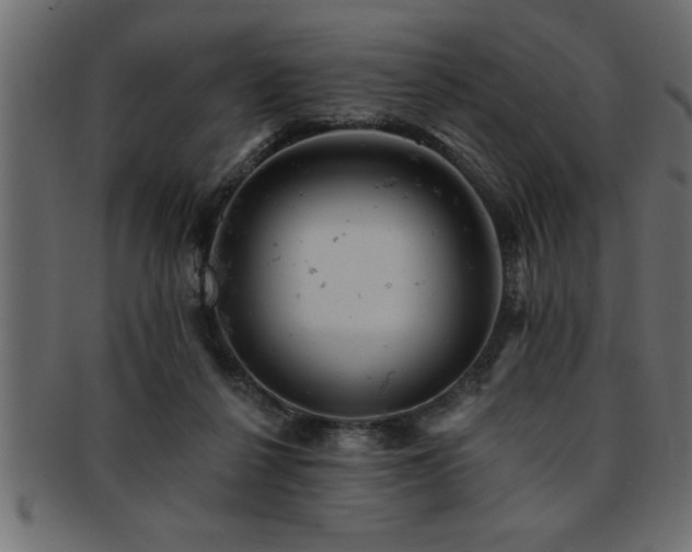 X0000093170264200709261534