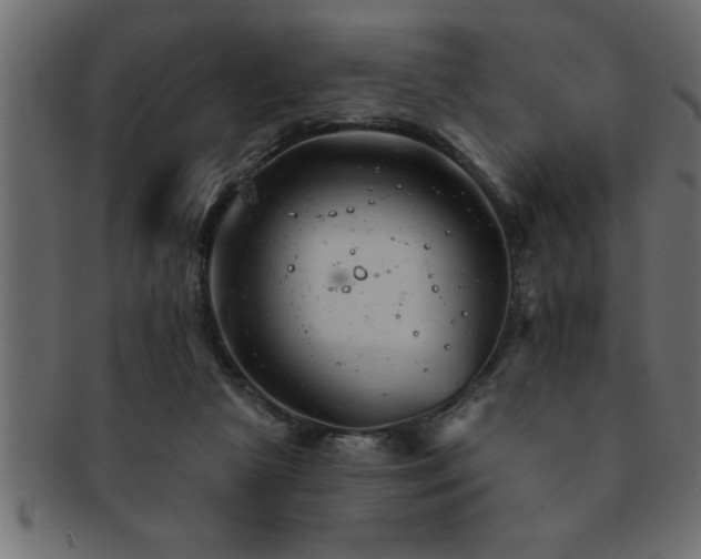 X0000093170265200709261534
