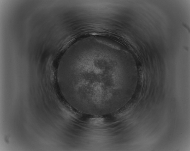 X0000093170266200709261534