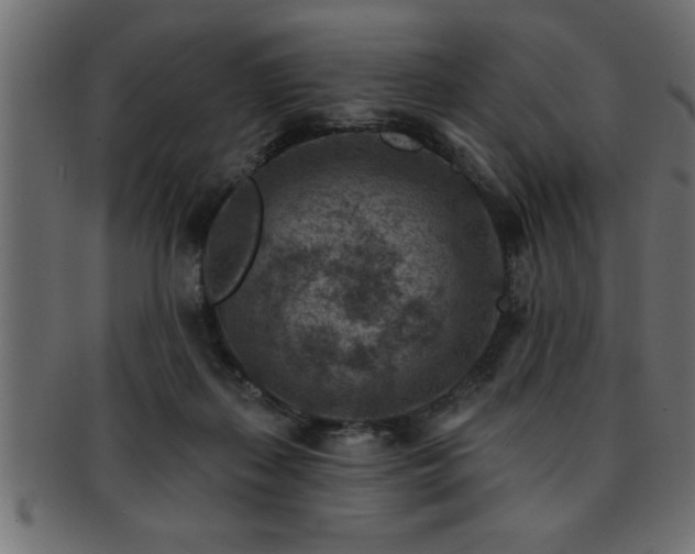 X0000093170267200709261534