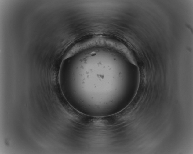 X0000093170268200709261534