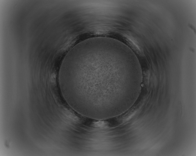 X0000093170269200709261534