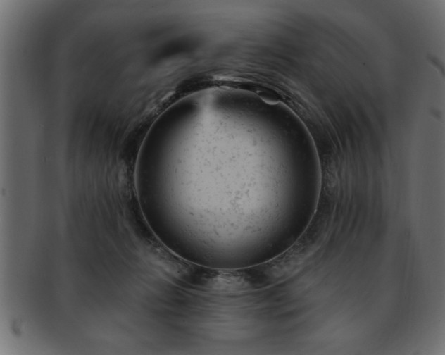 X0000093170270200709261534